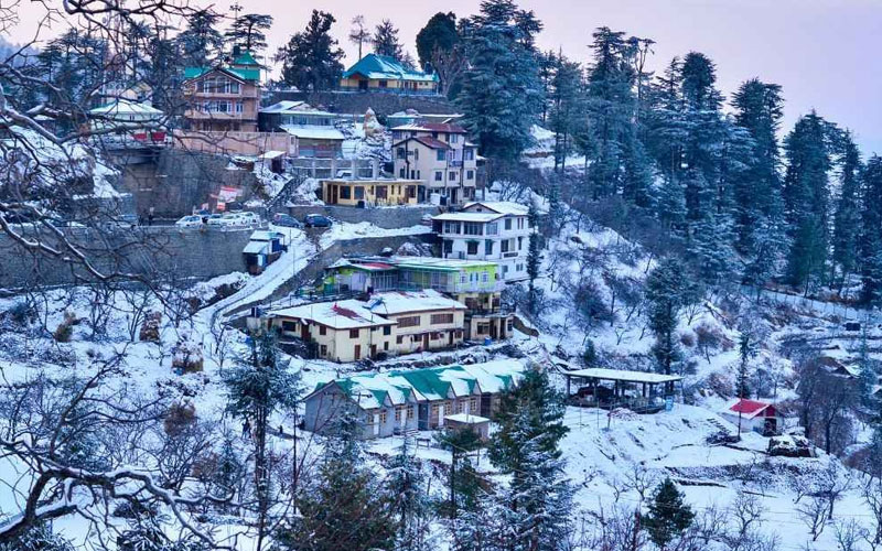 Shimla